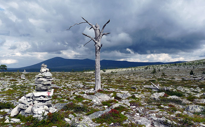 Im Nationalpark Femundsmarka, karge Berge