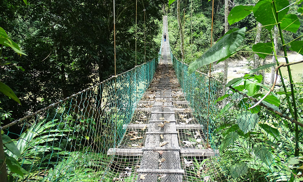 Hängebrücke über den Fluss im Danum Valley