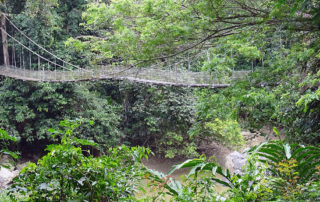Hängebrücke am Danum Valley Field Centre in Borneo