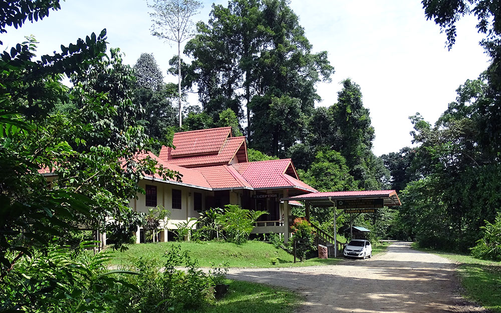 Haus im Wald im Danum Valley Field Centre