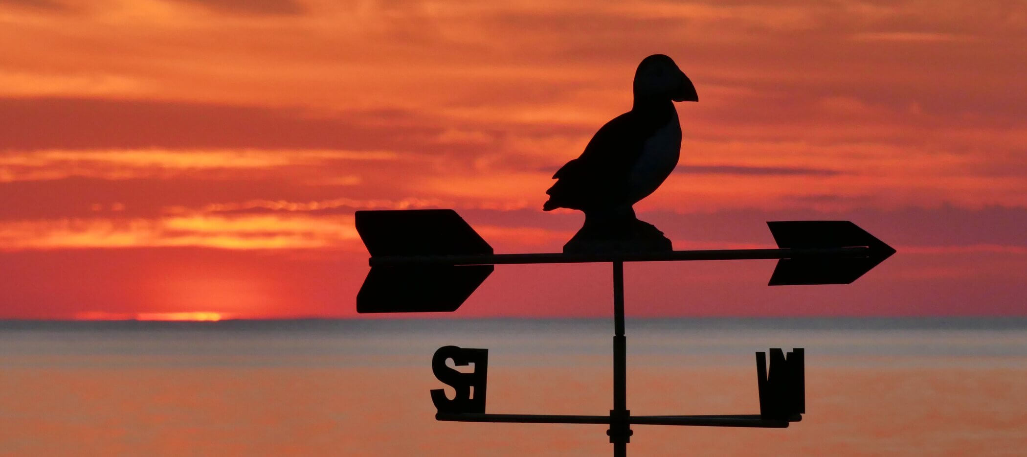 Sonnenaufgang am Meer mit Papageitaucher als Wetterhahn